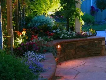 Local yard cleanup service with custom design in San Mateo, CA by Cal Native Landscaping