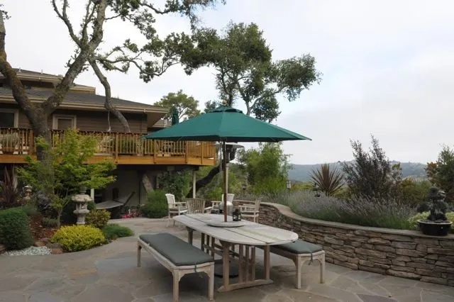 Custom yard cleanup service for year-round maintenance across San Mateo, CA - Cal Native Landscaping