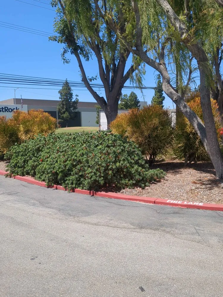 Local residential landscaping for outdoor upgrades across Whittier, CA - Cal Naturescapes