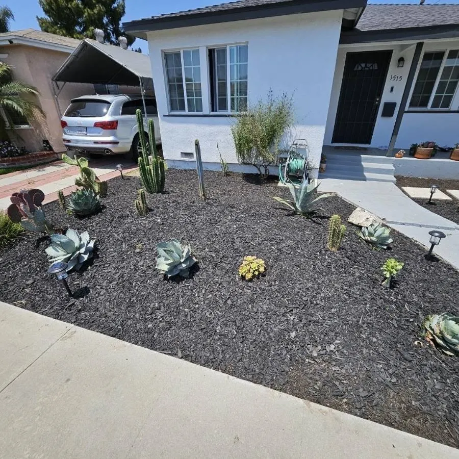 Trusted outdoor landscaping in Whittier, CA by Cal Naturescapes