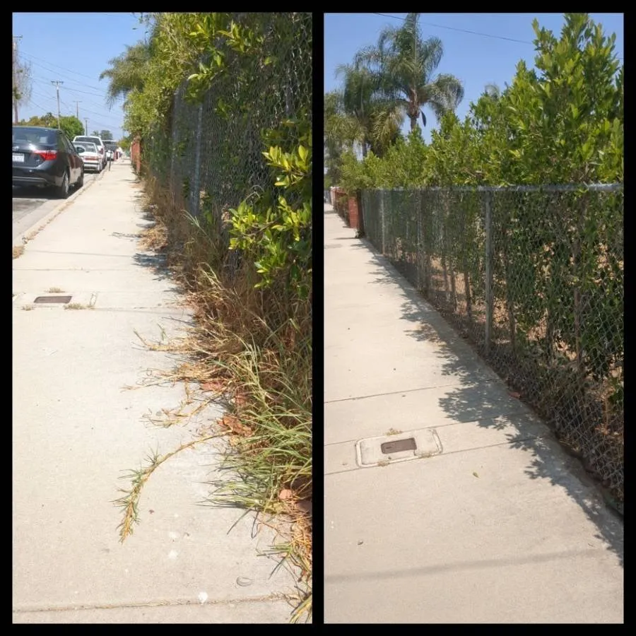 Reliable landscape installation in Whittier, CA by Cal Naturescapes