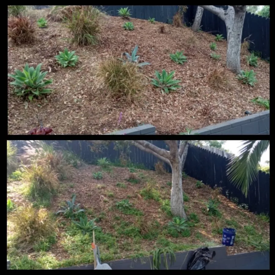 Expert garden landscaping experts serving Whittier, CA - Cal Naturescapes