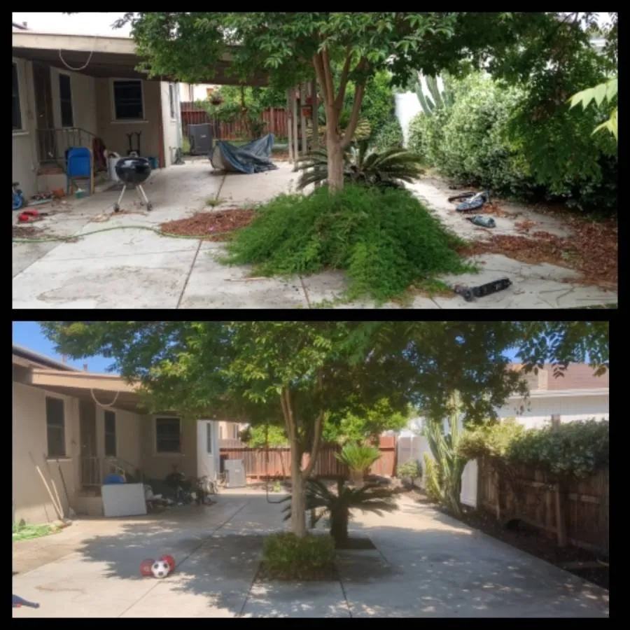 Expert yard maintenance in Whittier, CA - Cal Naturescapes