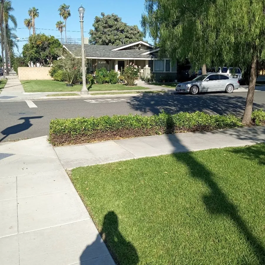 Local outdoor landscaping for outdoor upgrades across Whittier, CA - Cal Naturescapes