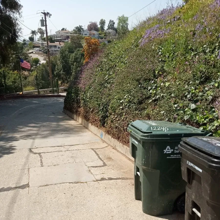 Custom yard maintenance for outdoor upgrades across Whittier, CA - Cal Naturescapes