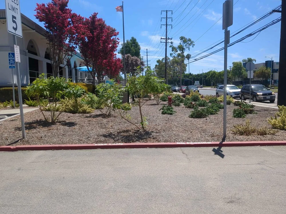 Expert lawn care service experts serving Whittier, CA - Cal Naturescapes