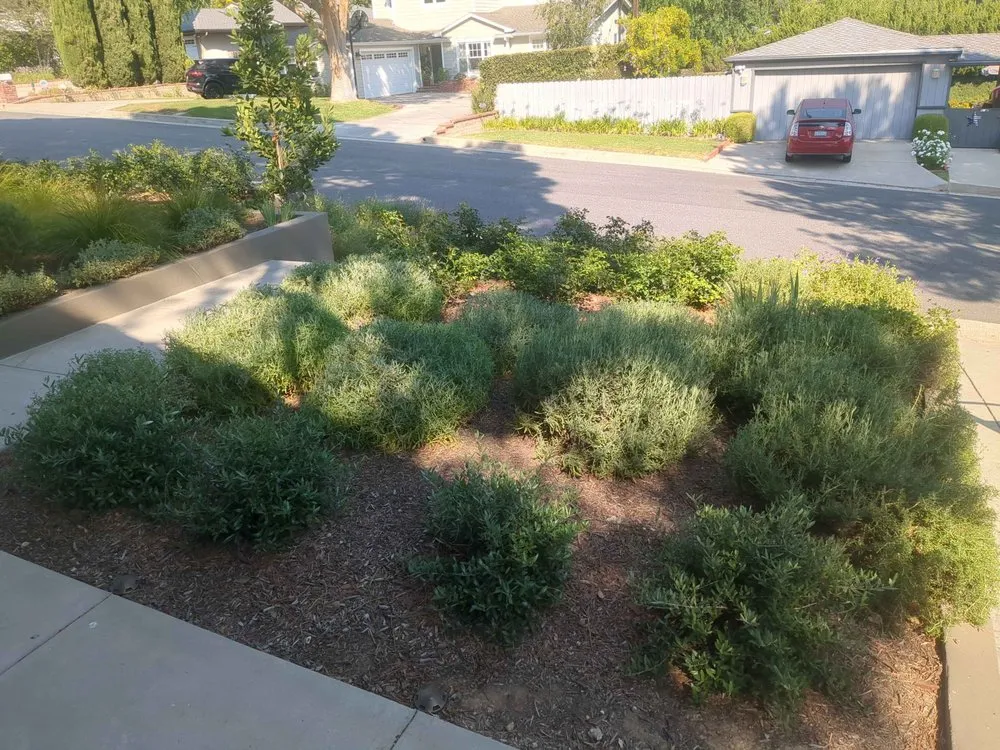 Reliable outdoor landscaping in Whittier, CA - Cal Naturescapes