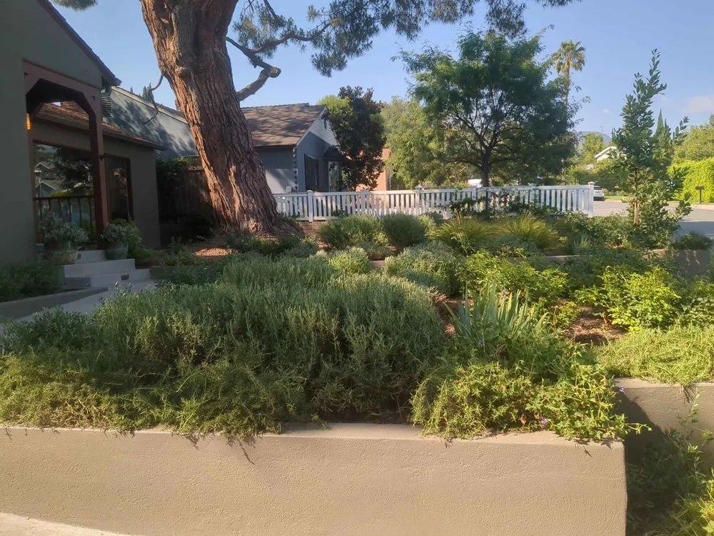 Affordable outdoor landscaping in Whittier, CA by Cal Naturescapes