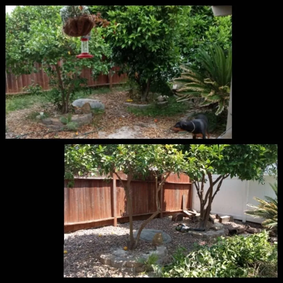 Trusted lawn care service in Whittier, CA - Cal Naturescapes