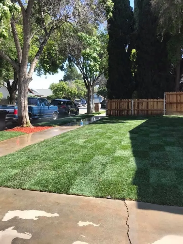 Local landscape installation in Moreno Valley, CA - Cal Pacific Landscape