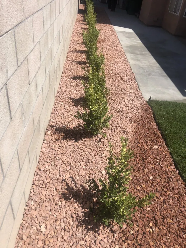 Affordable yard maintenance with custom design across Moreno Valley, CA - Cal Pacific Landscape