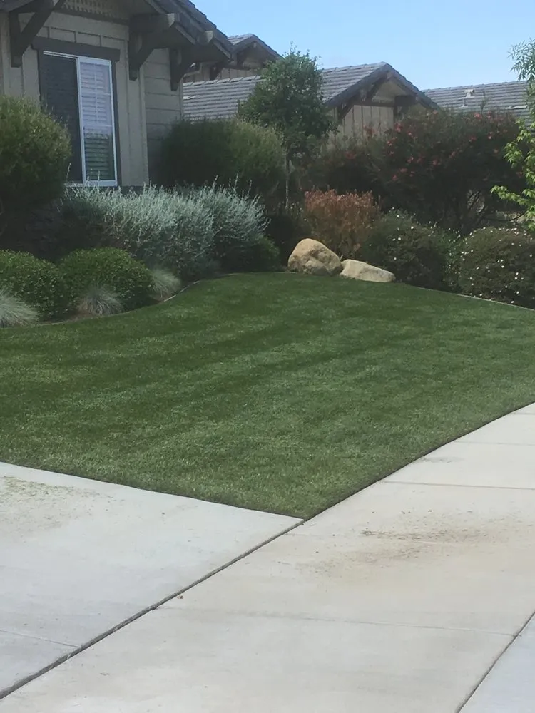 Trusted lawn care service near you in Santa Maria, CA by Cal-Pacific Landscape
