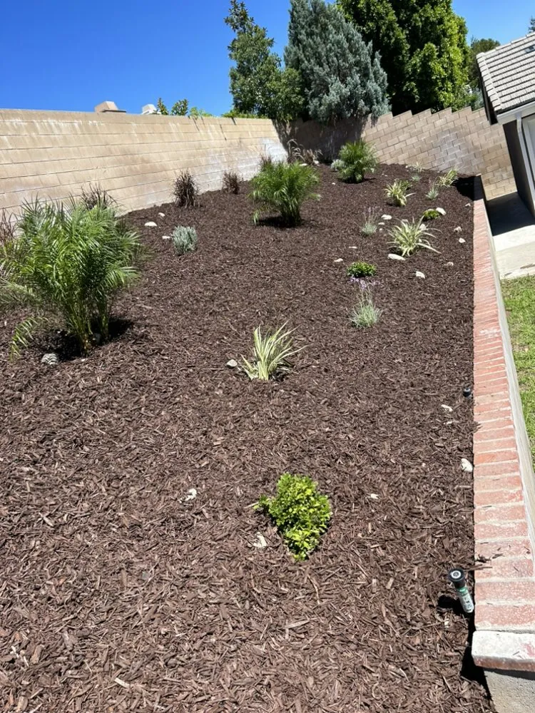 Reliable landscape design experts serving Rancho Cucamonga, CA - CAL Removal & Transport