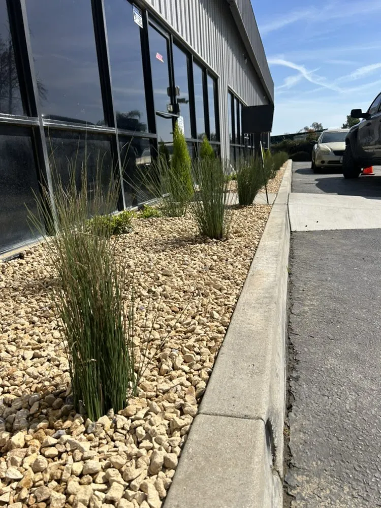 Trusted yard cleanup service in Rancho Cucamonga, CA - CAL Removal & Transport