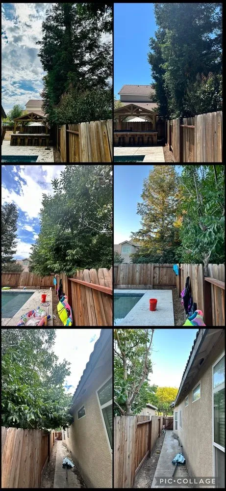 Reliable landscaping services for year-round maintenance across Modesto, CA - Cal Roots