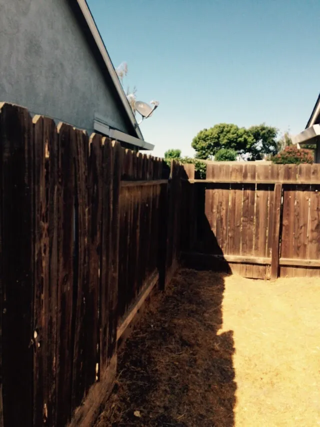 Professional landscape design for homes in Modesto, CA by Cal Roots