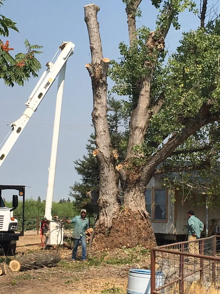 Local landscaping services experts serving Modesto, CA - Cal Roots