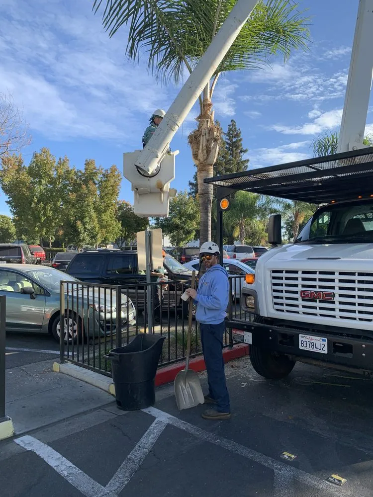 Local landscape installation for outdoor upgrades in Modesto, CA by Cal Roots