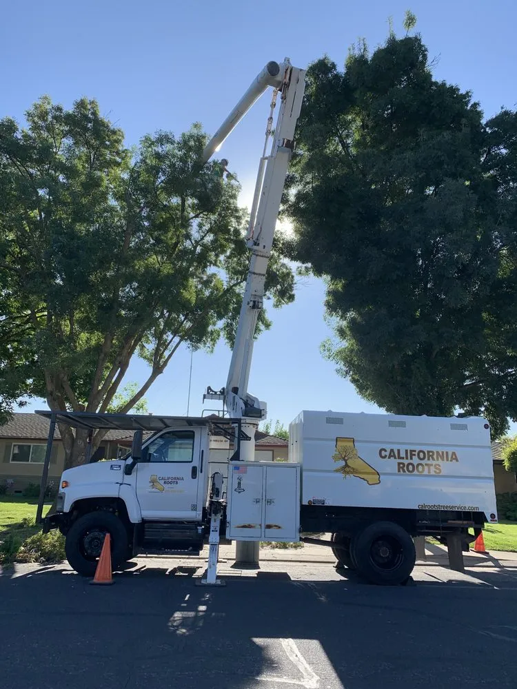 Custom lawn care service for residential properties across Modesto, CA - Cal Roots