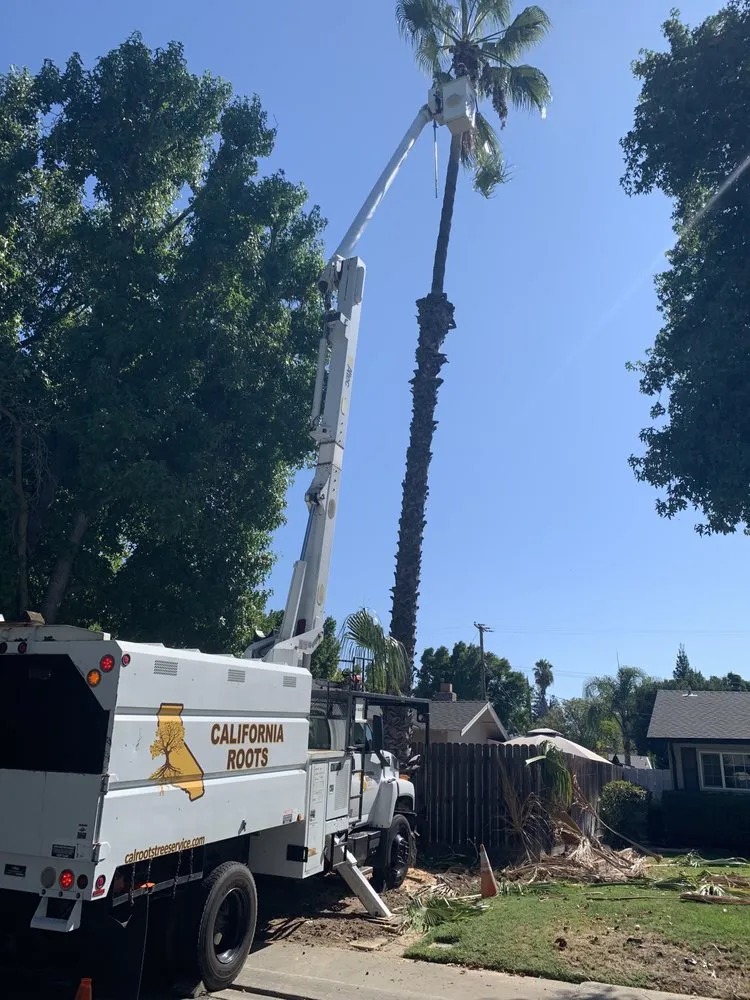 Expert landscape design in Modesto, CA - Cal Roots