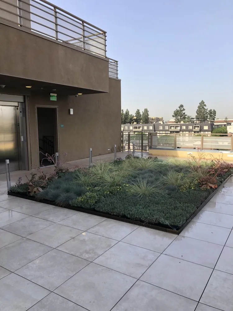 Trusted landscape design experts serving Manhattan Beach, CA - Cal Terra Design