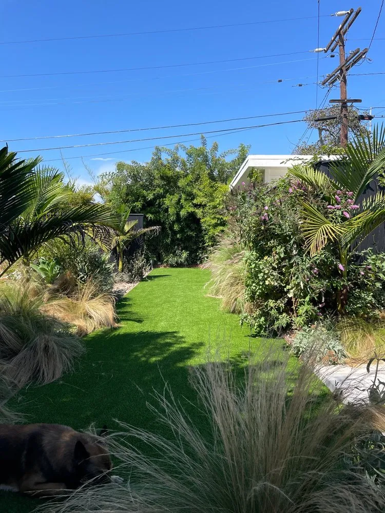 Expert outdoor landscaping in Manhattan Beach, CA by Cal Terra Design