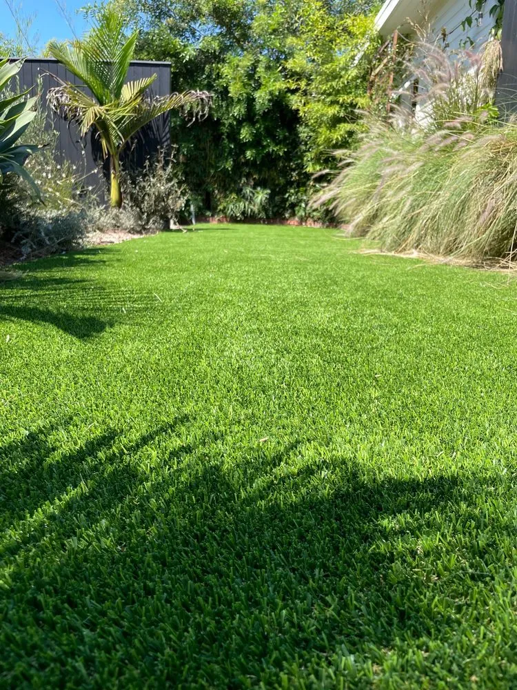 Expert yard cleanup service in Manhattan Beach, CA - Cal Terra Design