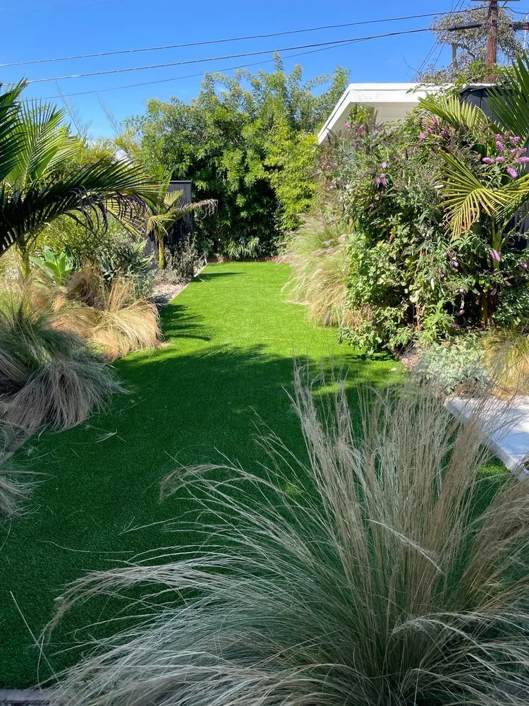 Reliable landscaping services for beautiful yards across Manhattan Beach, CA - Cal Terra Design