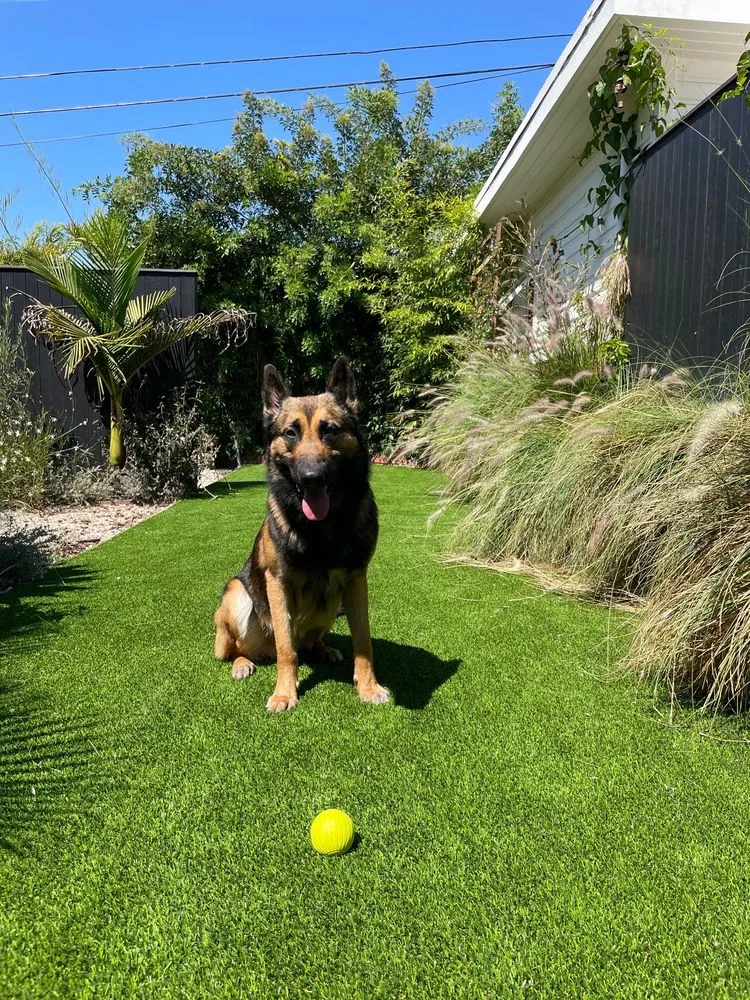Custom landscape installation near you in Manhattan Beach, CA by Cal Terra Design