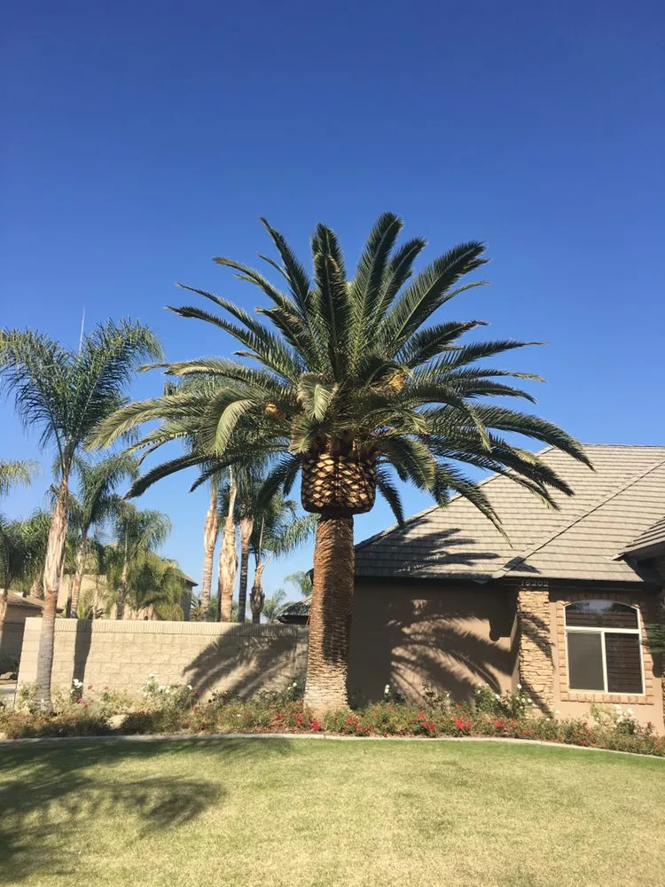 Custom landscaping services in Bakersfield, CA - Cal-Tree Services and Landscaping
