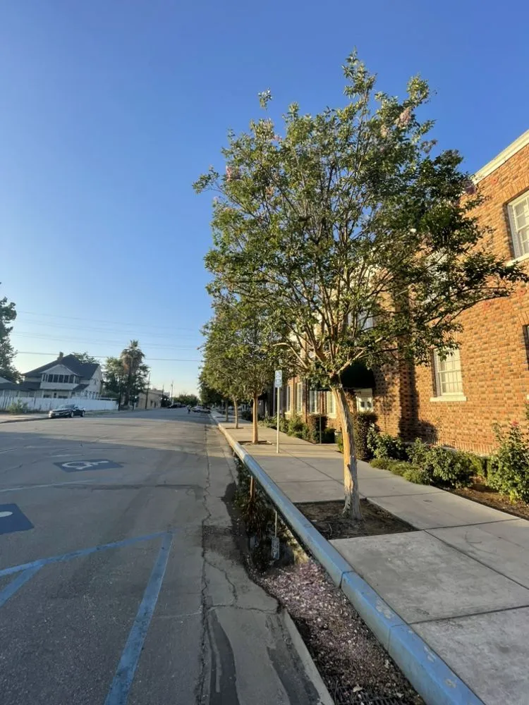 Affordable residential landscaping experts serving Bakersfield, CA - Cal-Tree Services and Landscaping