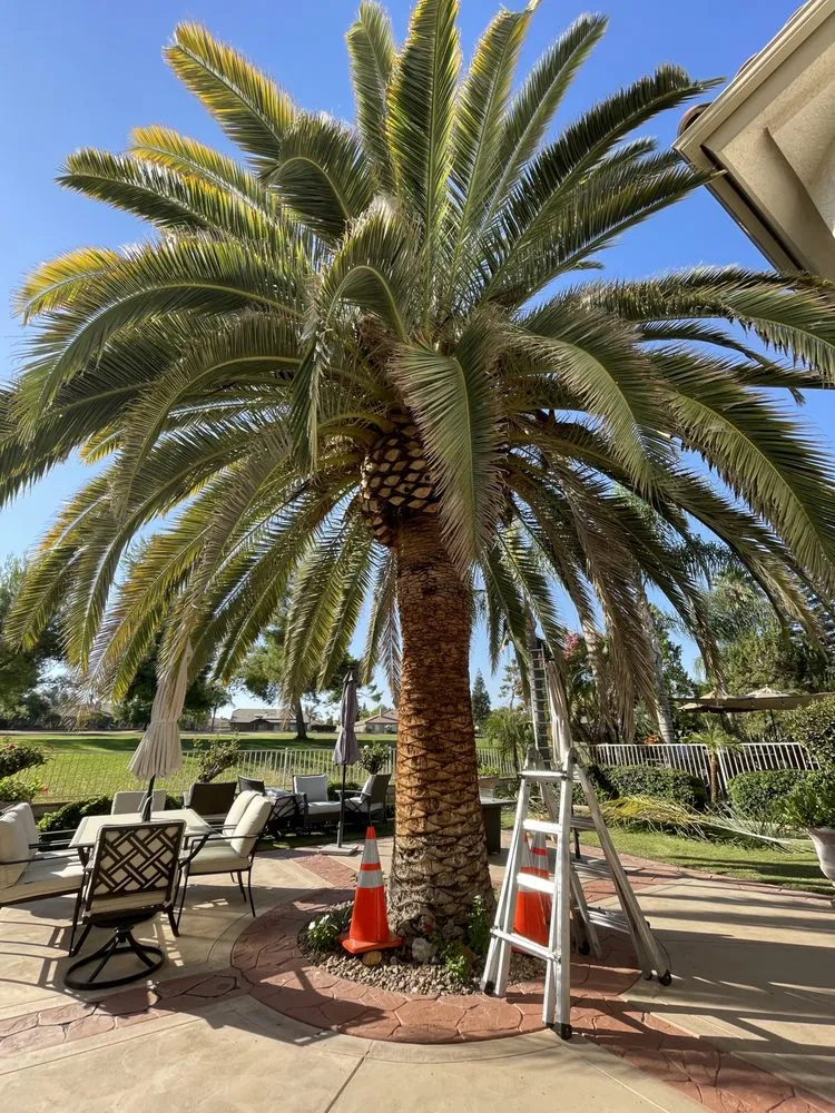 Reliable landscape design for beautiful yards in Bakersfield, CA by Cal-Tree Services and Landscaping