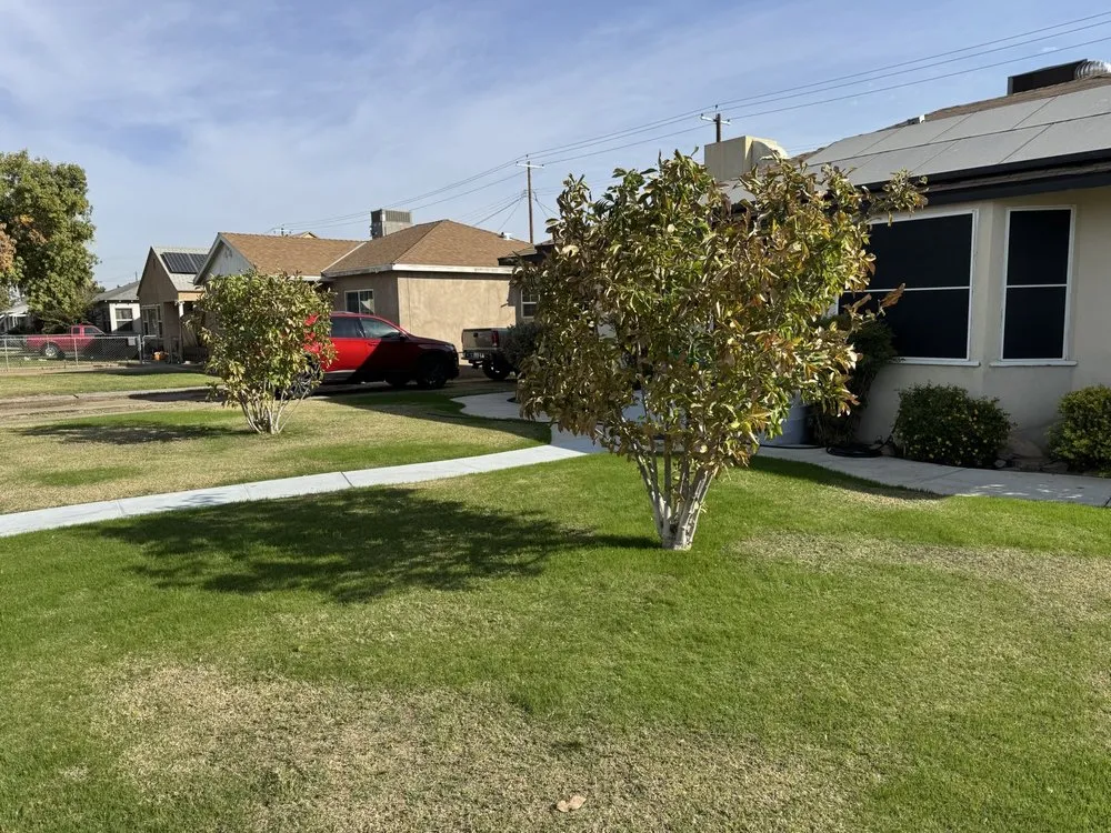 Professional yard cleanup service in Bakersfield, CA by Cal-Tree Services and Landscaping