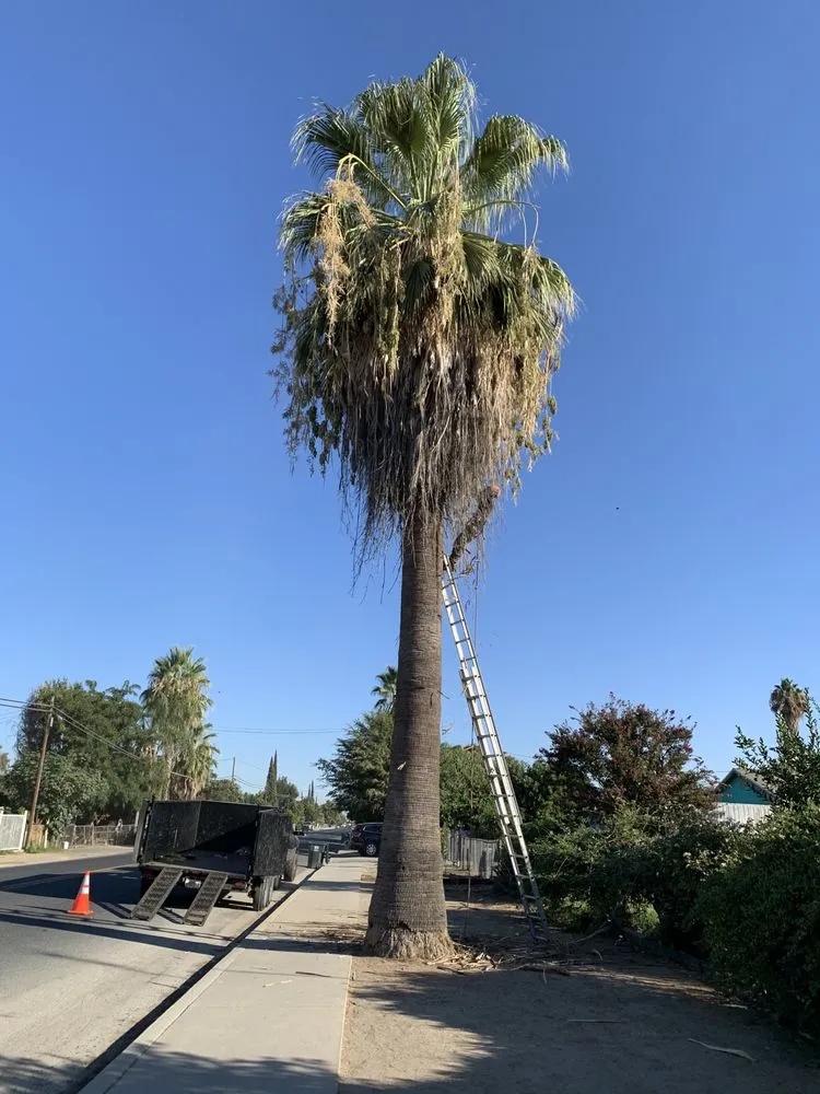 Affordable garden landscaping experts serving Bakersfield, CA - Cal-Tree Services and Landscaping