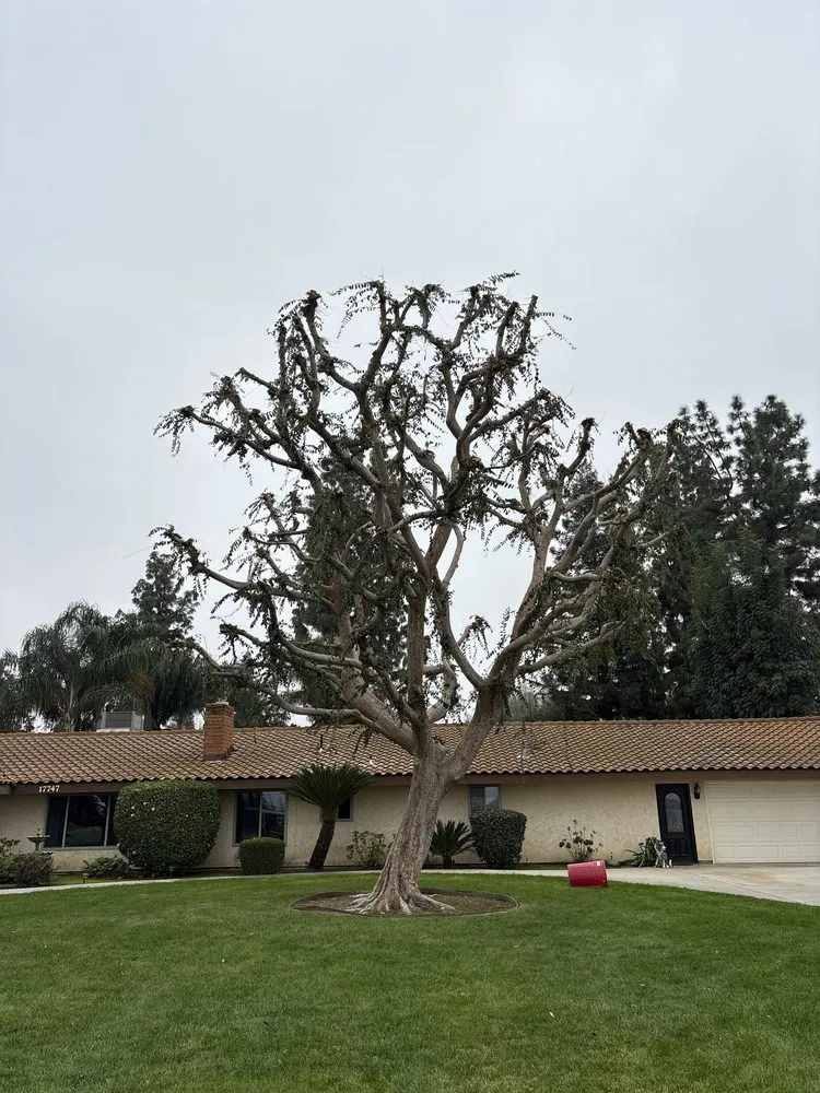 Top-rated garden landscaping for beautiful yards in Bakersfield, CA by Cal-Tree Services and Landscaping