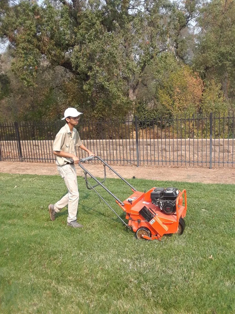 Reliable yard cleanup service for year-round maintenance in Antelope, CA by Cal-Turf Lawn Service