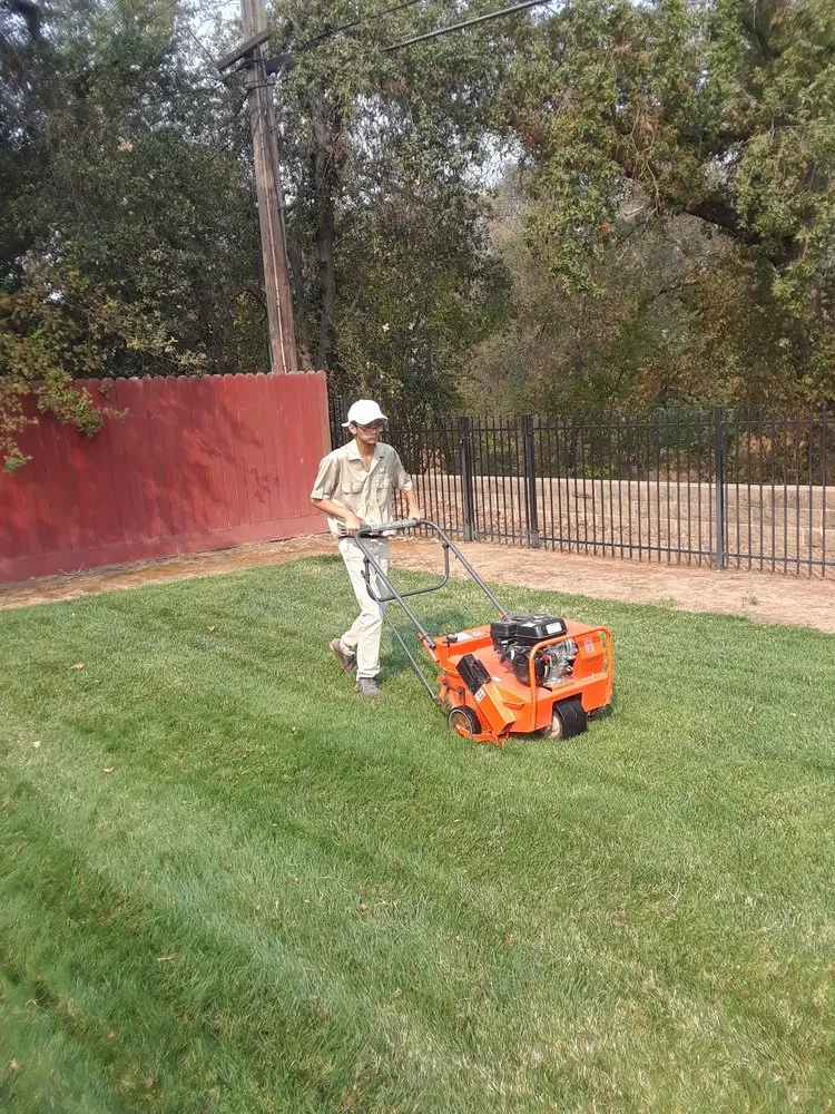 Expert garden landscaping near you in Antelope, CA by Cal-Turf Lawn Service