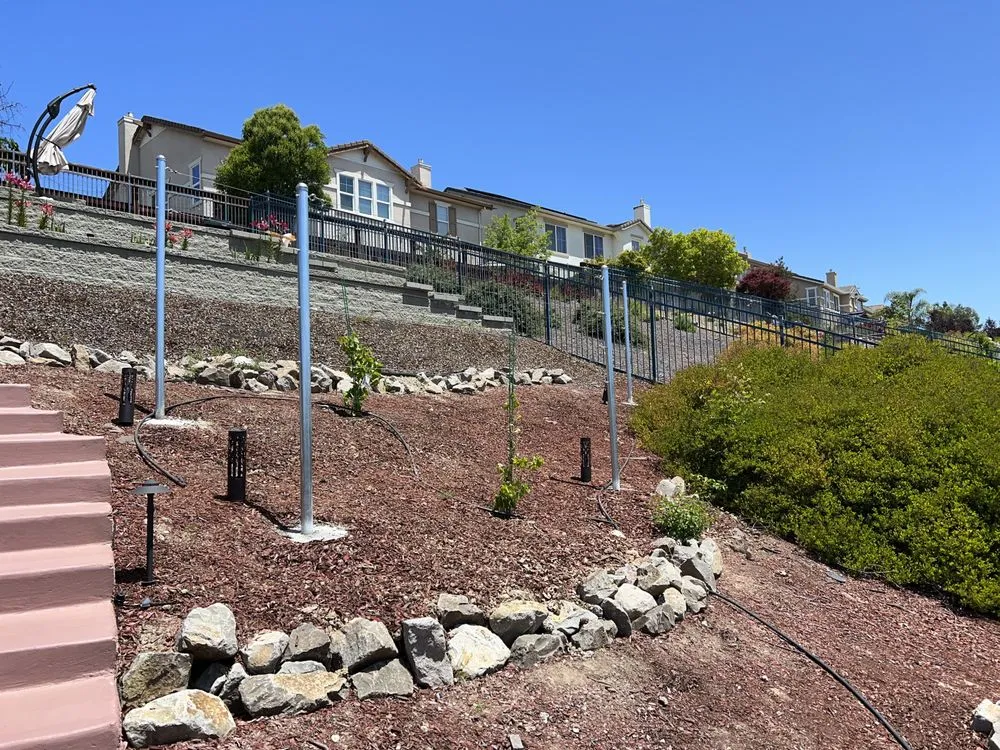 Professional yard cleanup service in Dublin, CA - Cal Valley Landscape