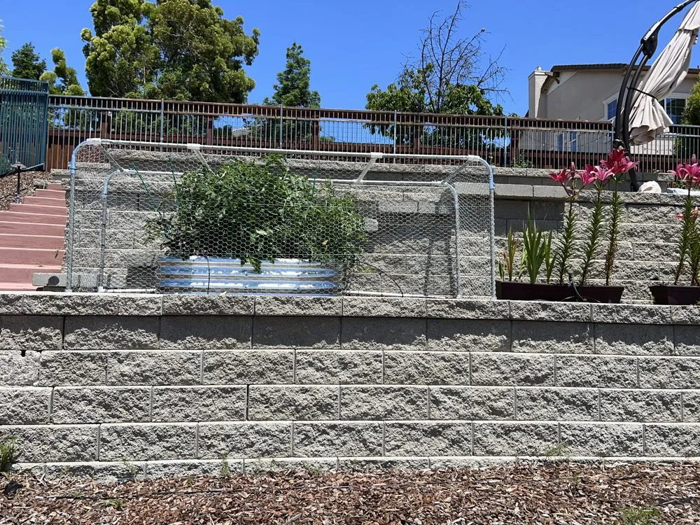 Local garden landscaping in Dublin, CA - Cal Valley Landscape