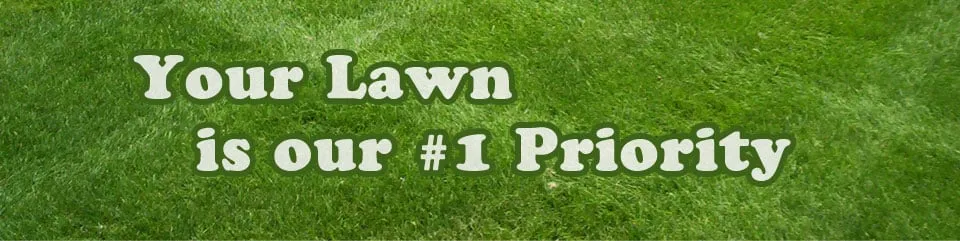 Expert outdoor landscaping in Santa Clarita, CA - Cal West Landscaping