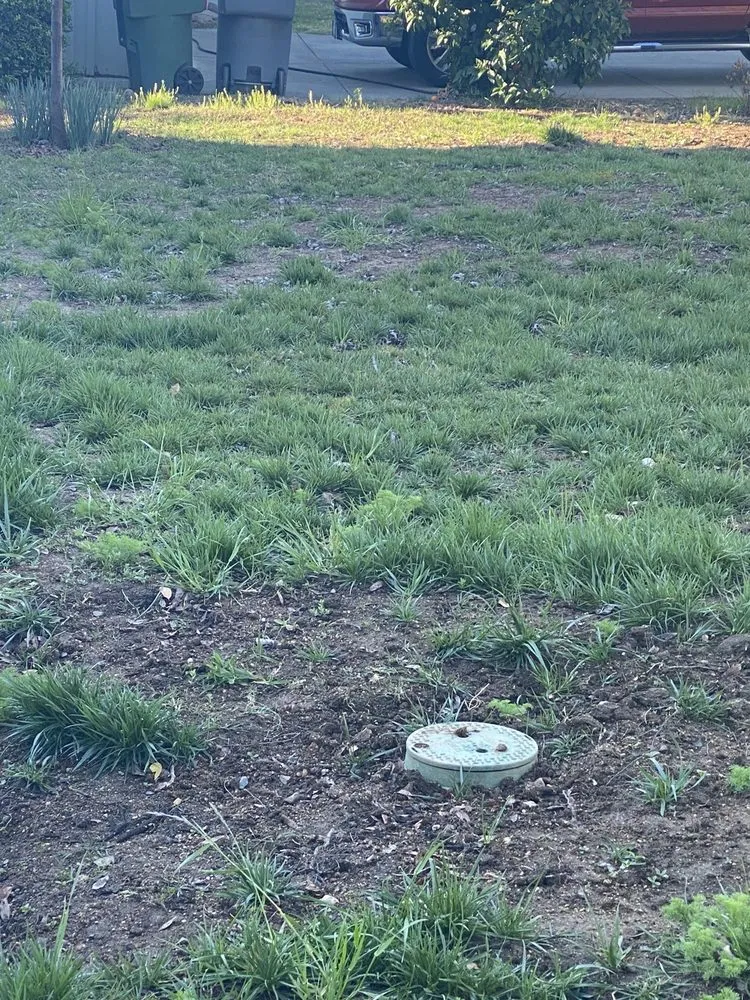 Local residential landscaping experts serving Roseville, CA - Cal-Yard Landscape