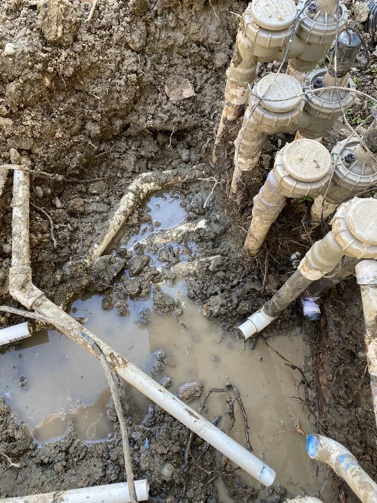 Top-rated lawn care service in Roseville, CA by Cal-Yard Landscape