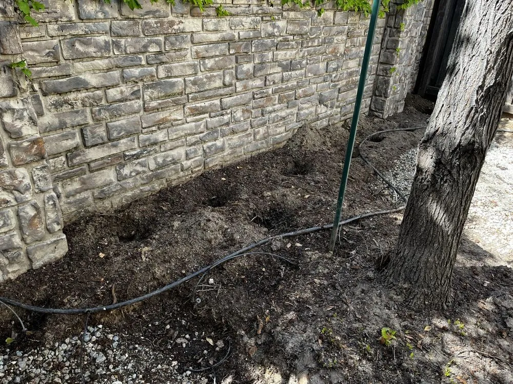 Reliable residential landscaping in Roseville, CA by Cal-Yard Landscape