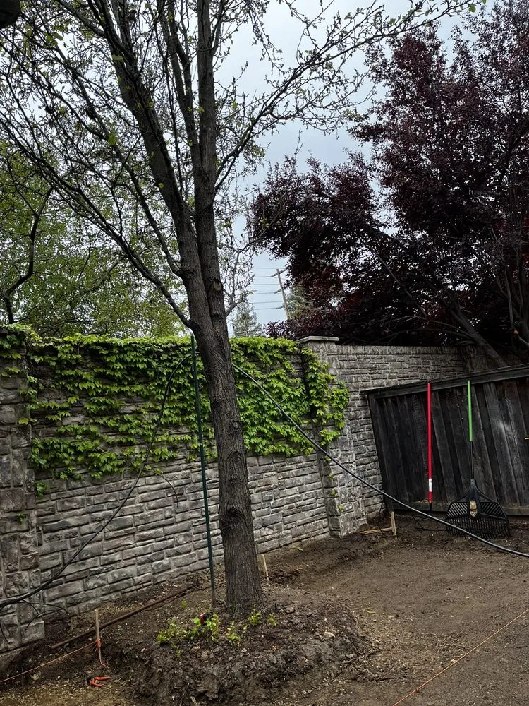 Reliable lawn care service experts serving Roseville, CA - Cal-Yard Landscape