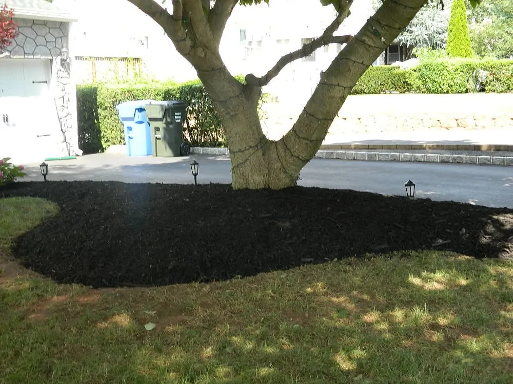 Affordable yard maintenance in Scotch Plains, NJ - Calabrese Landscaping