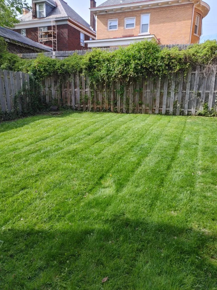 Top-rated outdoor landscaping in Pittsburgh, PA - Calabro Landscaping Solutions