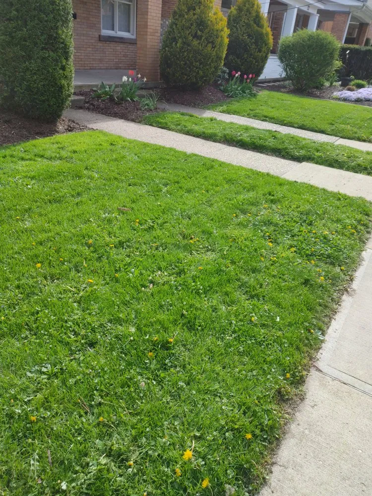 Reliable garden landscaping experts serving Pittsburgh, PA - Calabro Landscaping Solutions