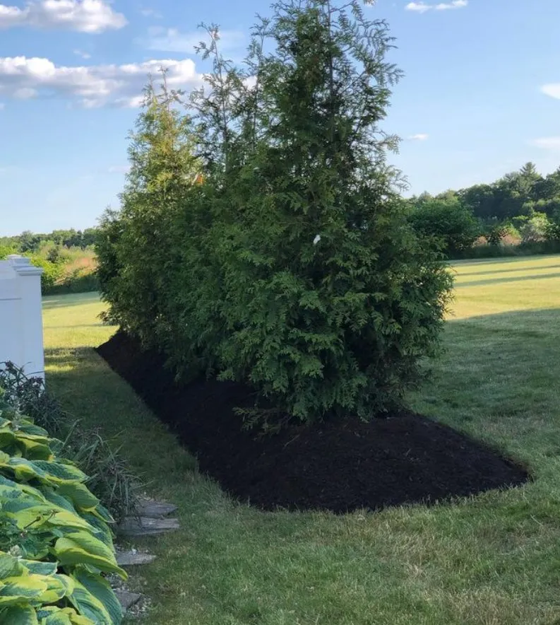 Top-rated outdoor landscaping experts serving Cranston, RI - Calan Services