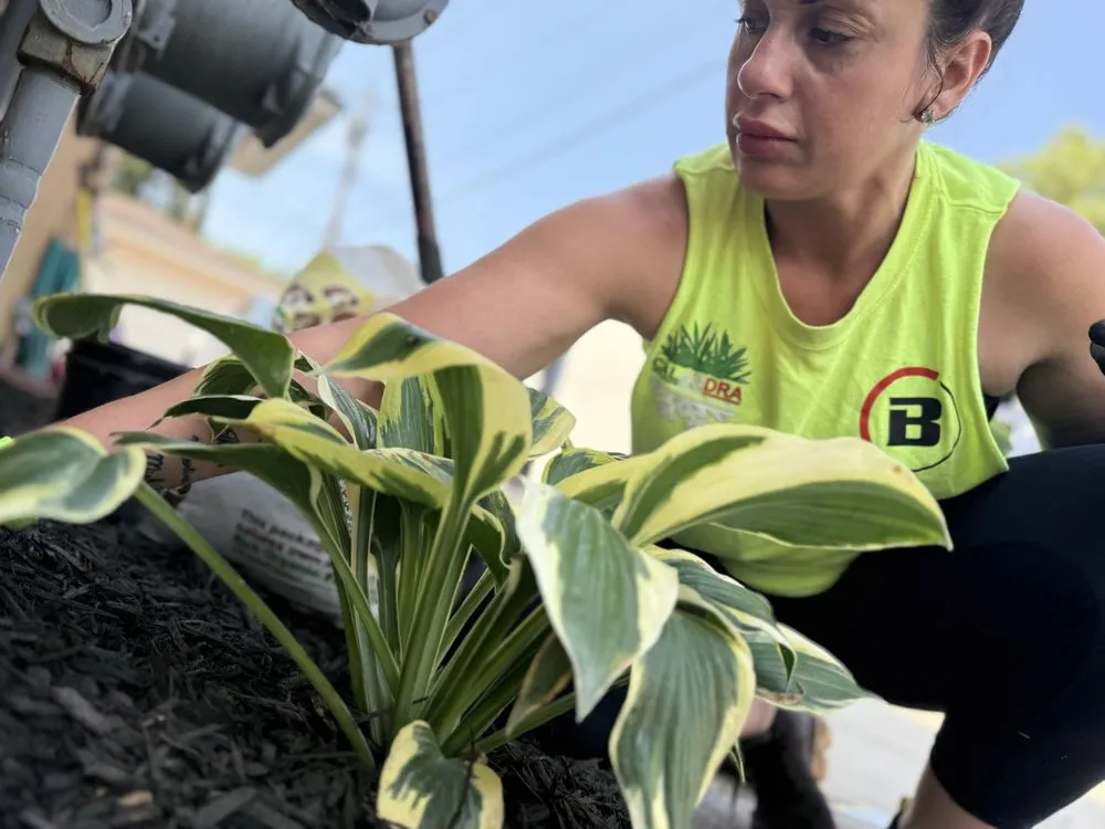 Custom garden landscaping in Depew, NY - Calandra Landscaping and Snowplow