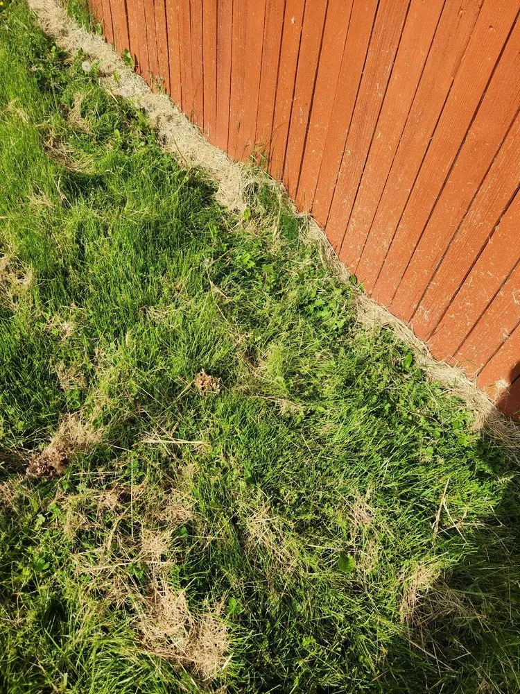 Affordable residential landscaping experts serving Depew, NY - Calandra Landscaping and Snowplow